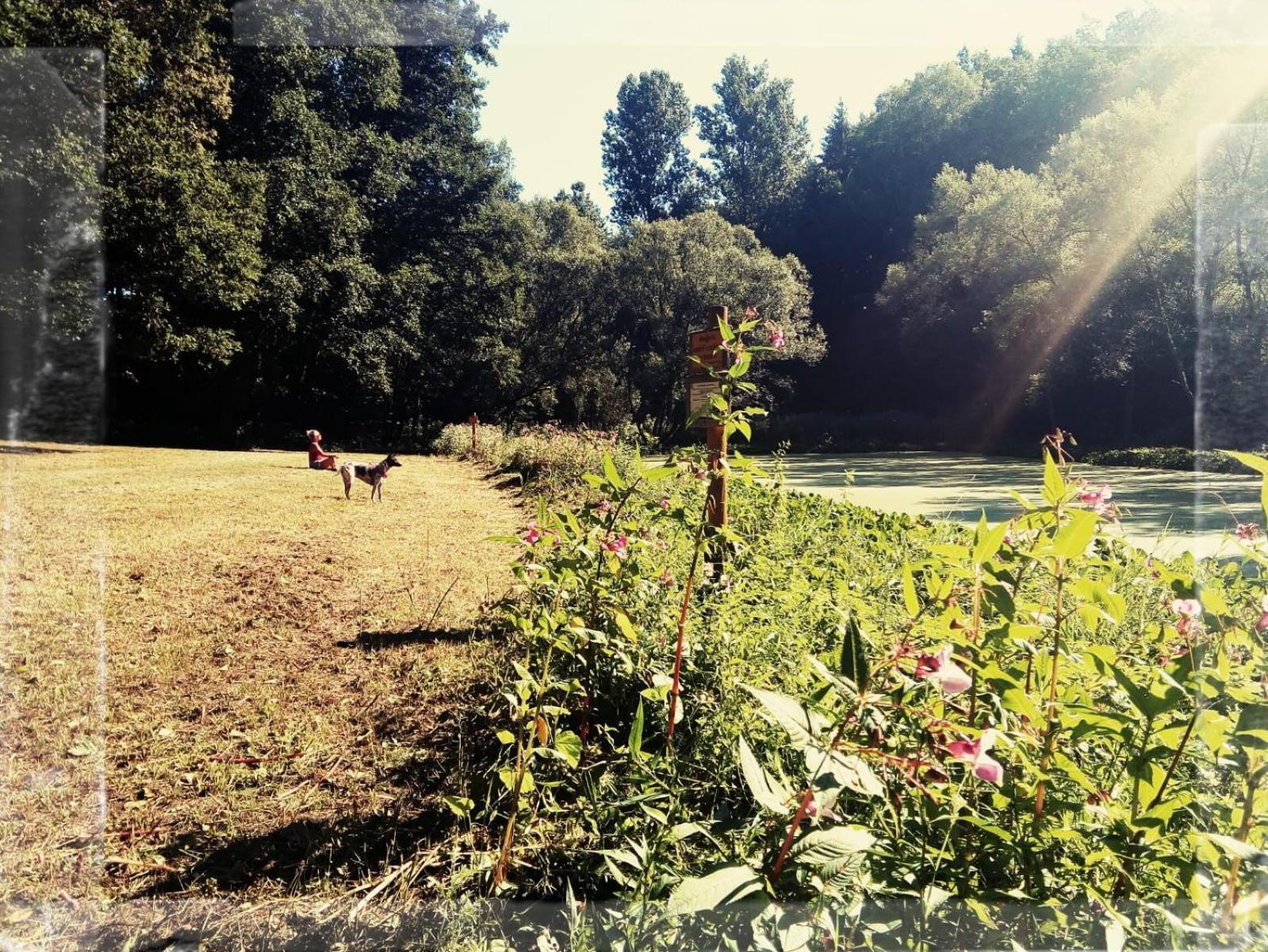Sabine'S Wellnesslodge Ruppertsweiler Dış mekan fotoğraf